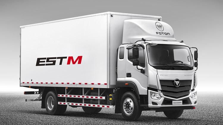 Foton Aumark EST-M 4x2 Refrigerated Truck for Sale
