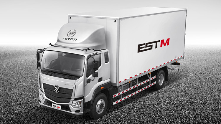Foton Aumark EST-M 4x2 Refrigerated Truck for Sale