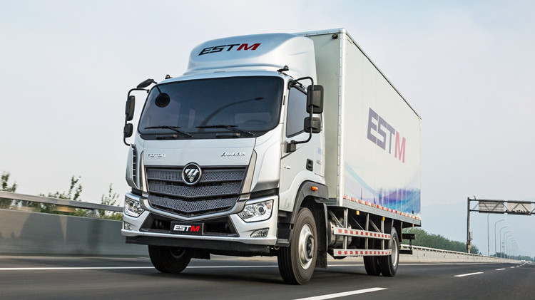 Foton Aumark EST-M 4x2 Refrigerated Truck for Sale